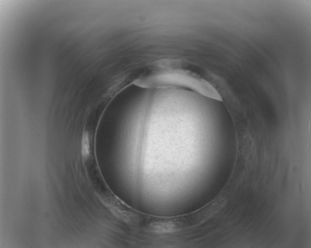 X0000079320075200611251815