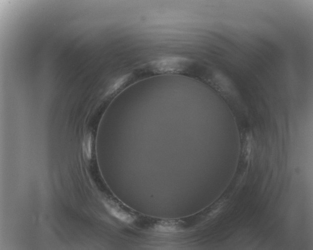 X0000079320076200611251815