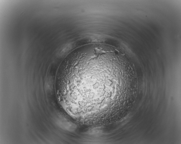 X0000079320078200611251815