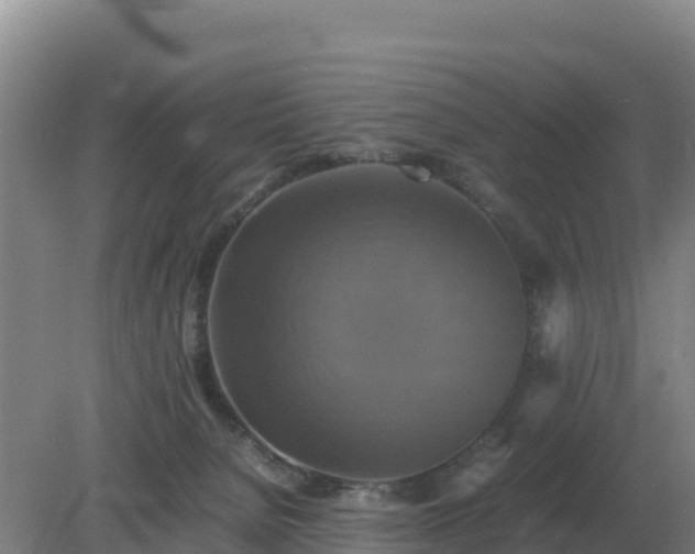 X0000079320080200611251815