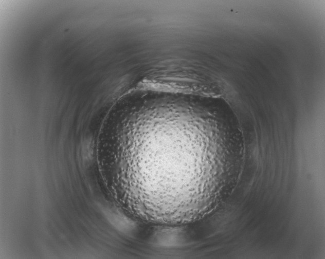 X0000079320081200611251815