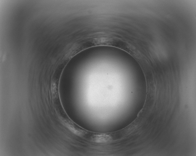 X0000079320087200611251815