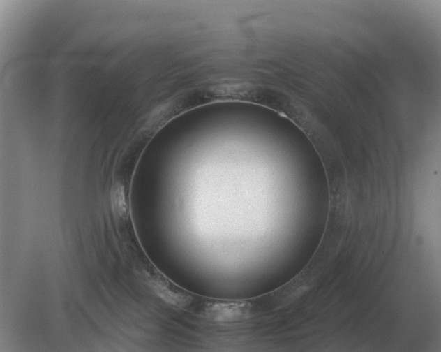 X0000079320089200611251816