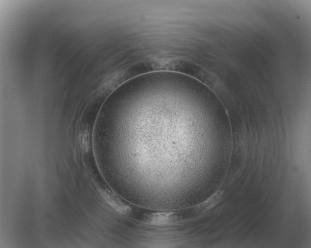 X0000079320090200611251816