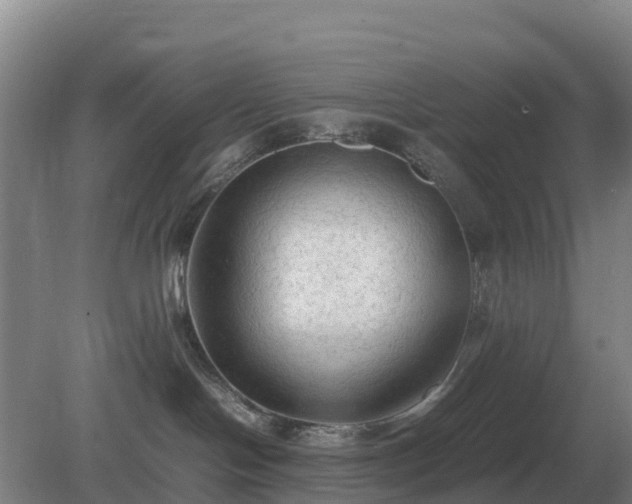 X0000079320094200611251816