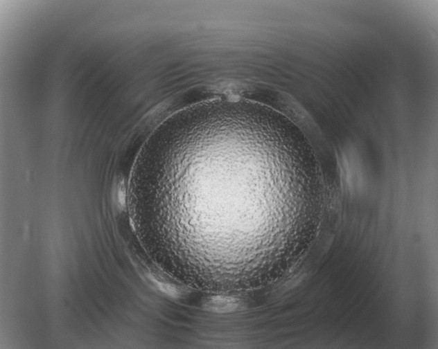 X0000079320095200611251816