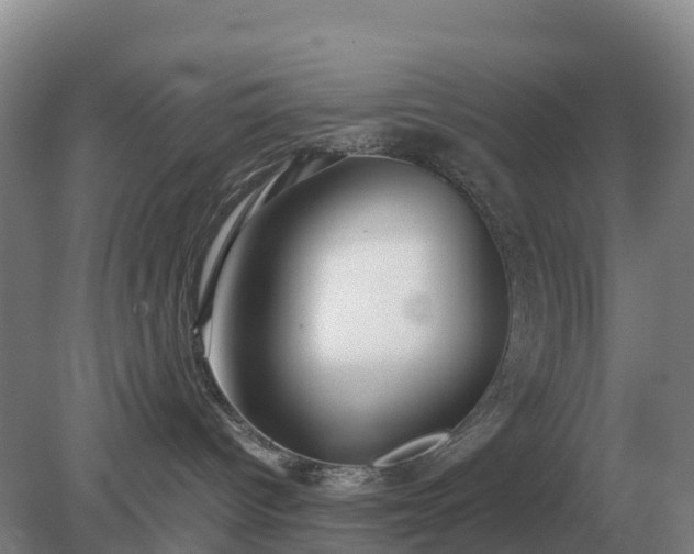 X0000079320096200611251816