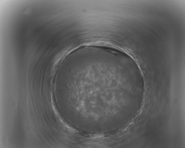 X0000079320097200611251815