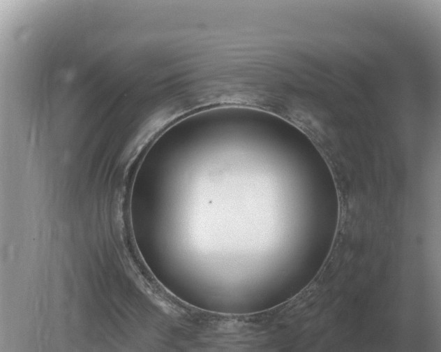 X0000079320098200611251815