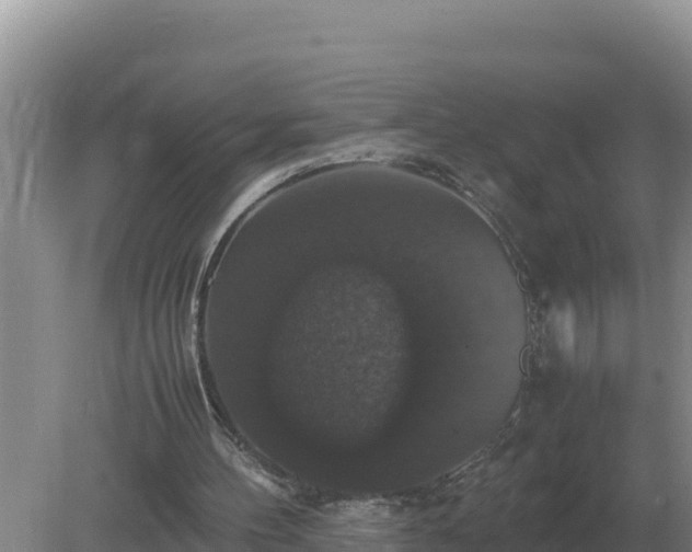 X0000079320100200611251815