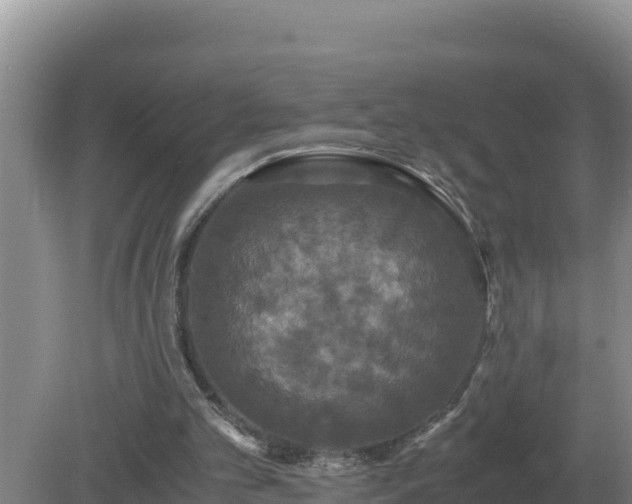 X0000079320101200611251815