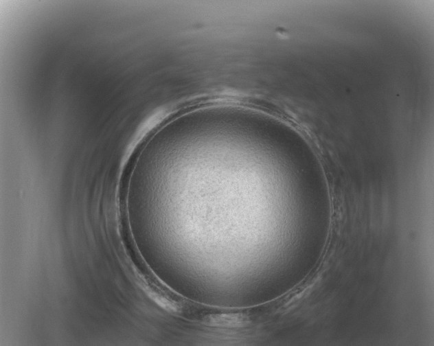 X0000079320102200611251815