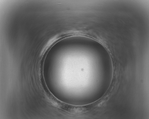 X0000079320103200611251815