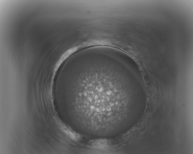 X0000079320104200611251815