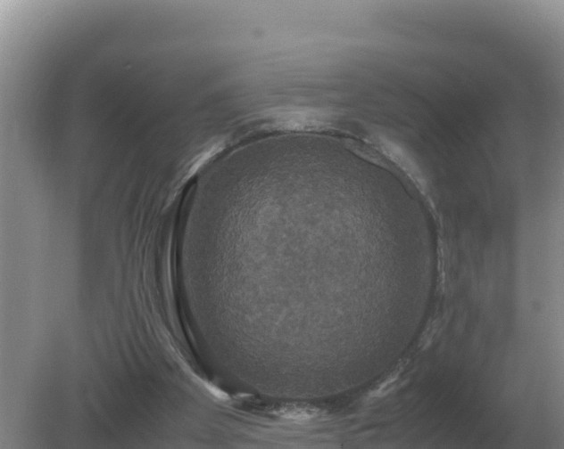 X0000079320105200611251815