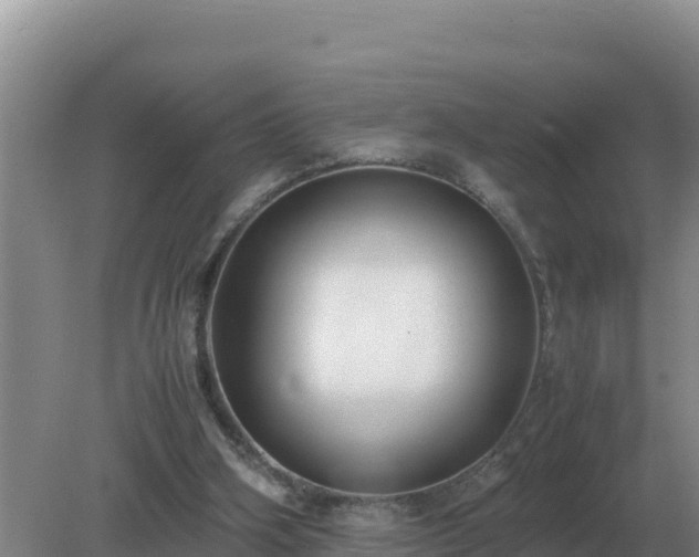 X0000079320106200611251815