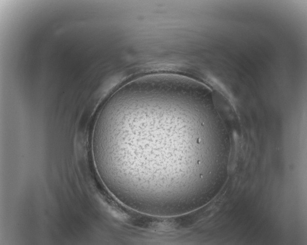 X0000079320107200611251815