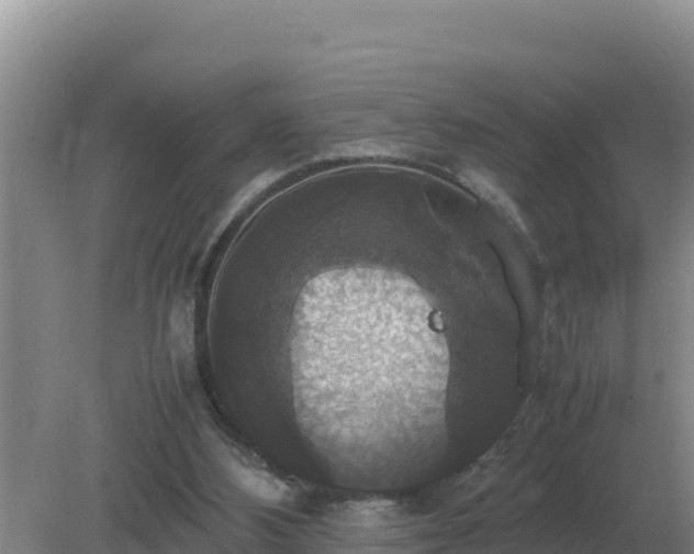 X0000079320108200611251815