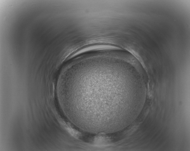 X0000079320109200611251815