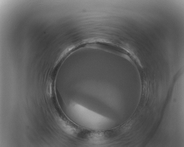 X0000079320110200611251815