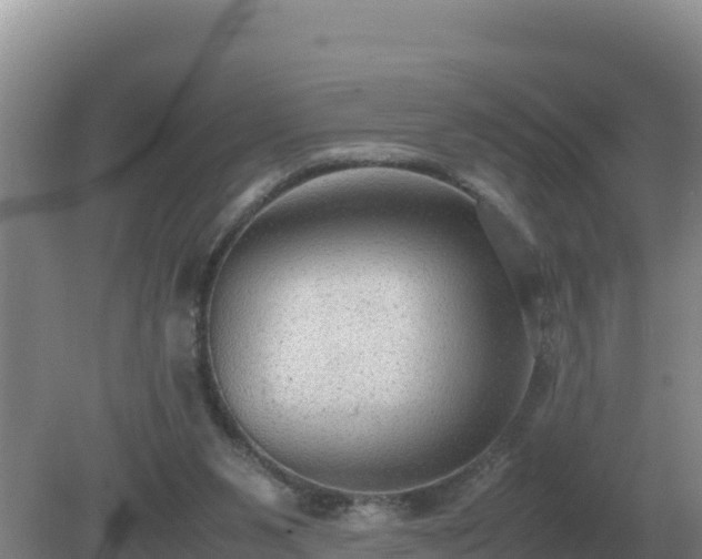 X0000079320111200611251815