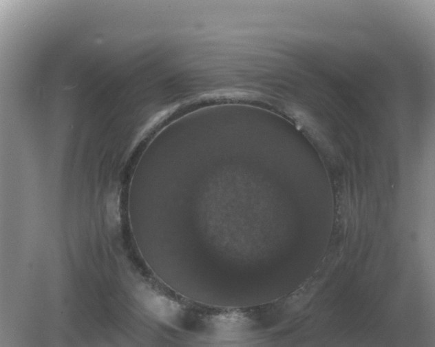 X0000079320112200611251815