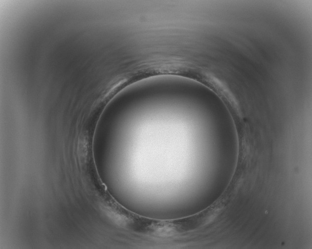 X0000079320113200611251815