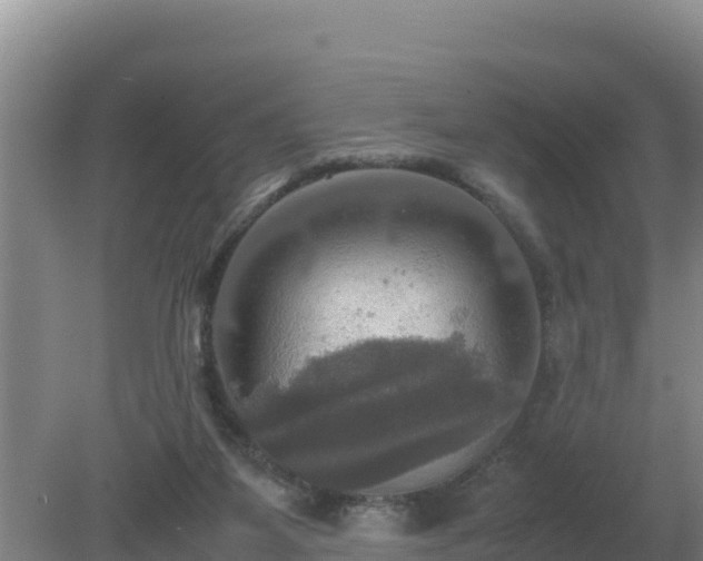 X0000079320115200611251815