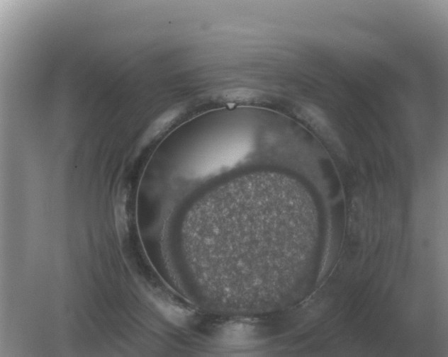 X0000079320116200611251814