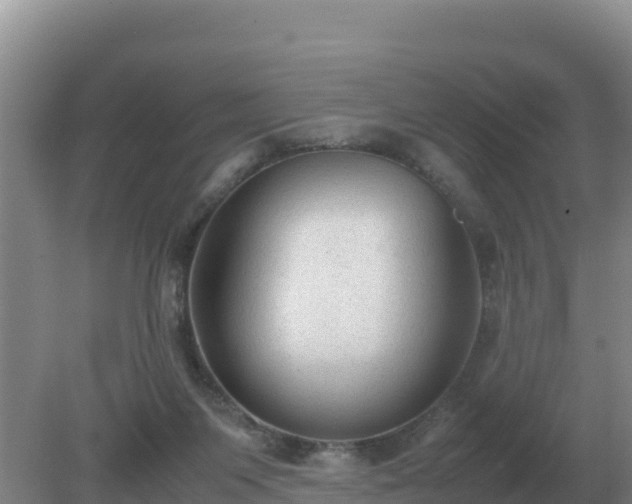 X0000079320119200611251814