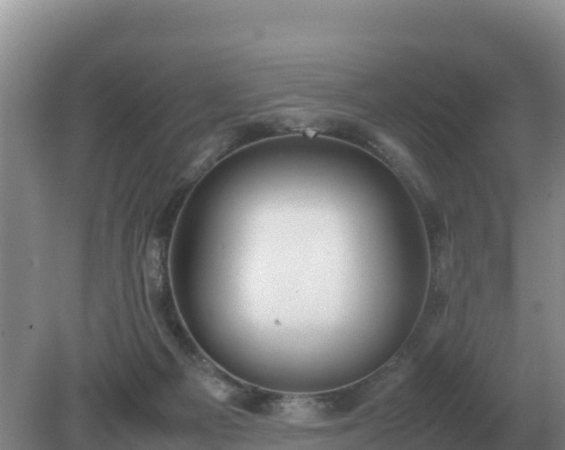 X0000079320121200611251814