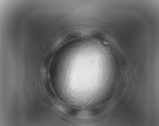 X0000079320123200611251814