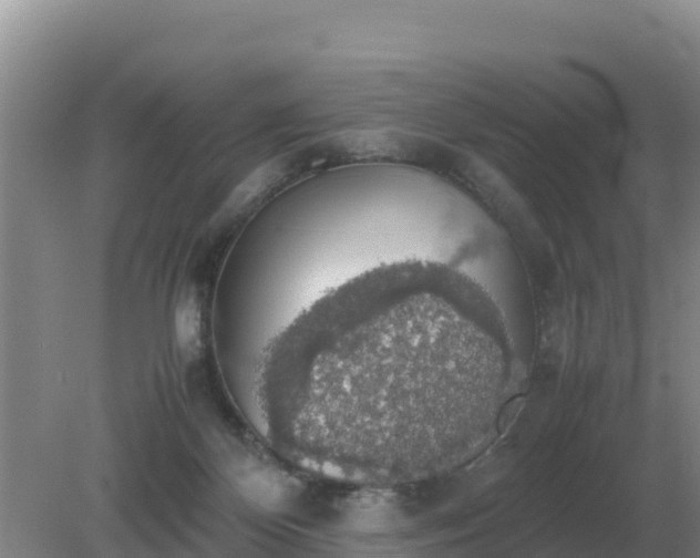 X0000079320124200611251814