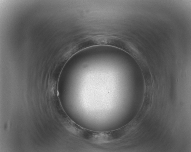 X0000079320125200611251814