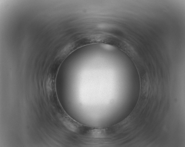 X0000079320126200611251814