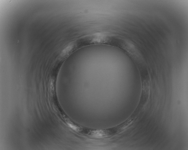 X0000079320127200611251814