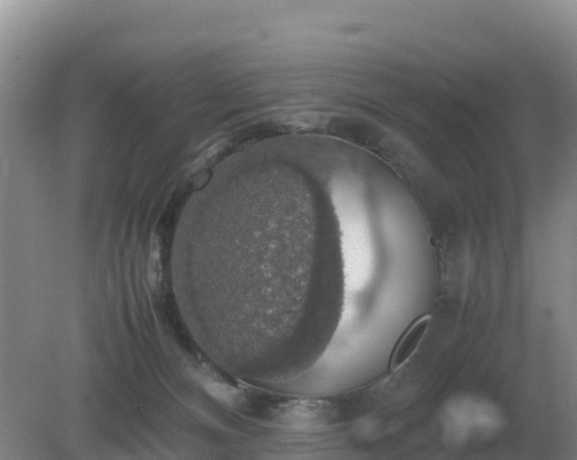 X0000079320128200611251814