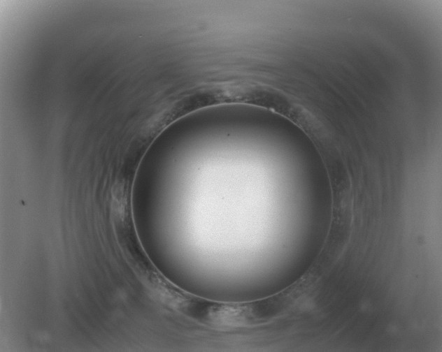 X0000079320129200611251814