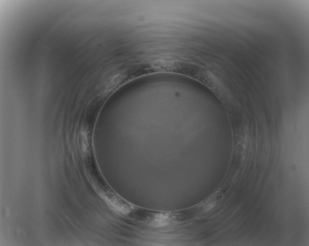 X0000079320130200611251814