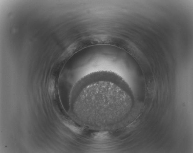 X0000079320132200611251814