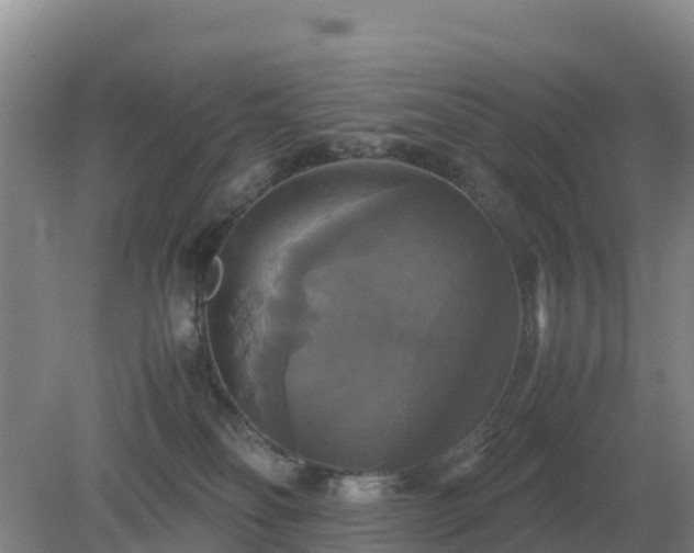 X0000079320134200611251814