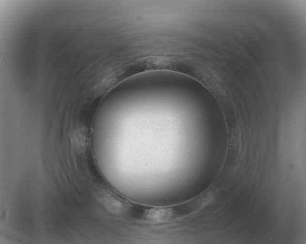 X0000079320135200611251814