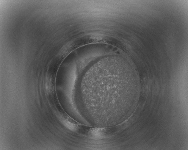 X0000079320136200611251814