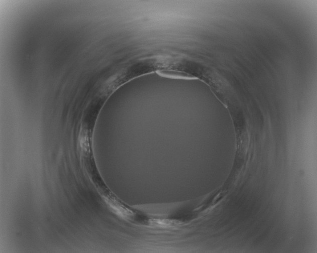 X0000079320137200611251814