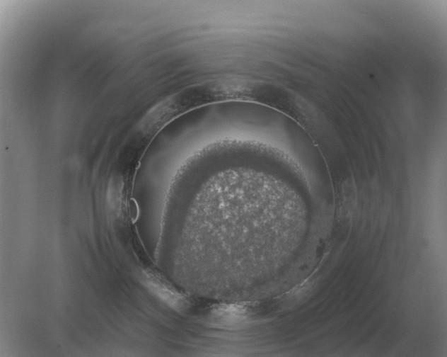 X0000079320140200611251814