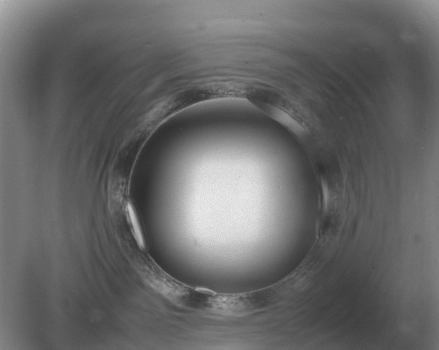 X0000079320141200611251814