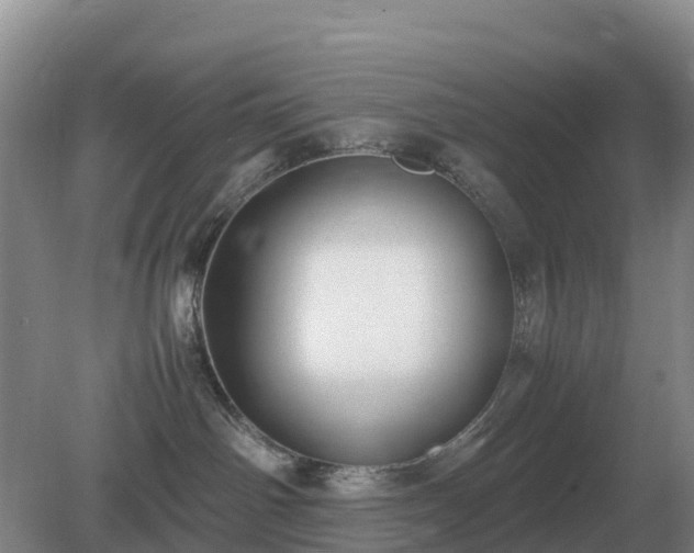 X0000079320142200611251814