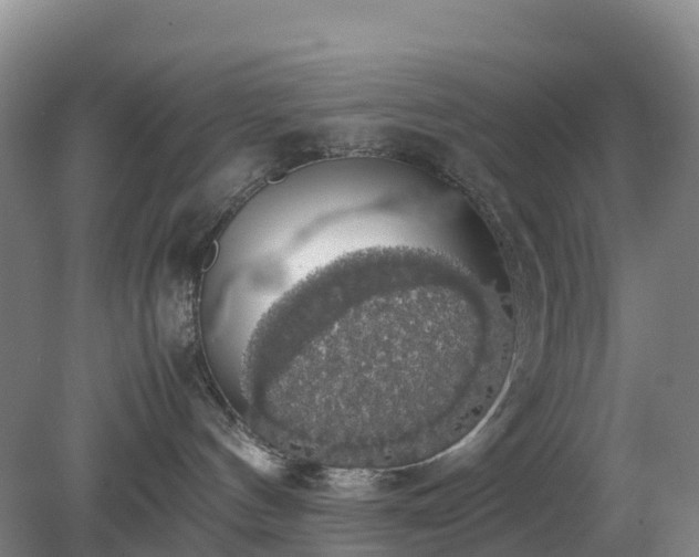 X0000079320144200611251814