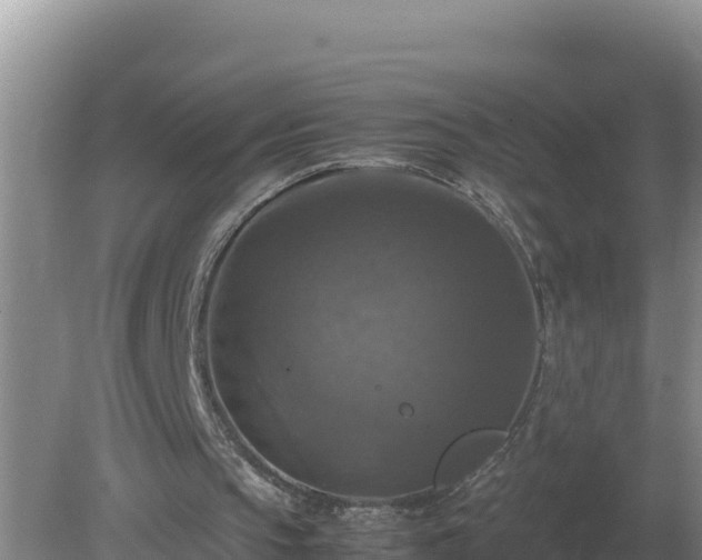 X0000079320145200611251813