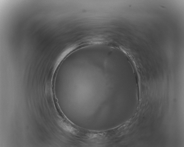 X0000079320147200611251813